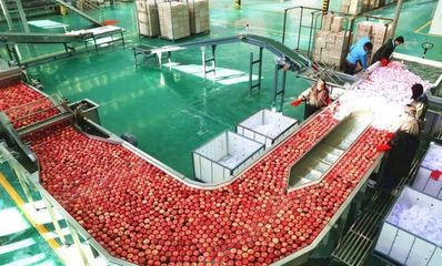 乡村振兴专家谈 | 魏延安:陕西为什么要成立苹果产销联盟?